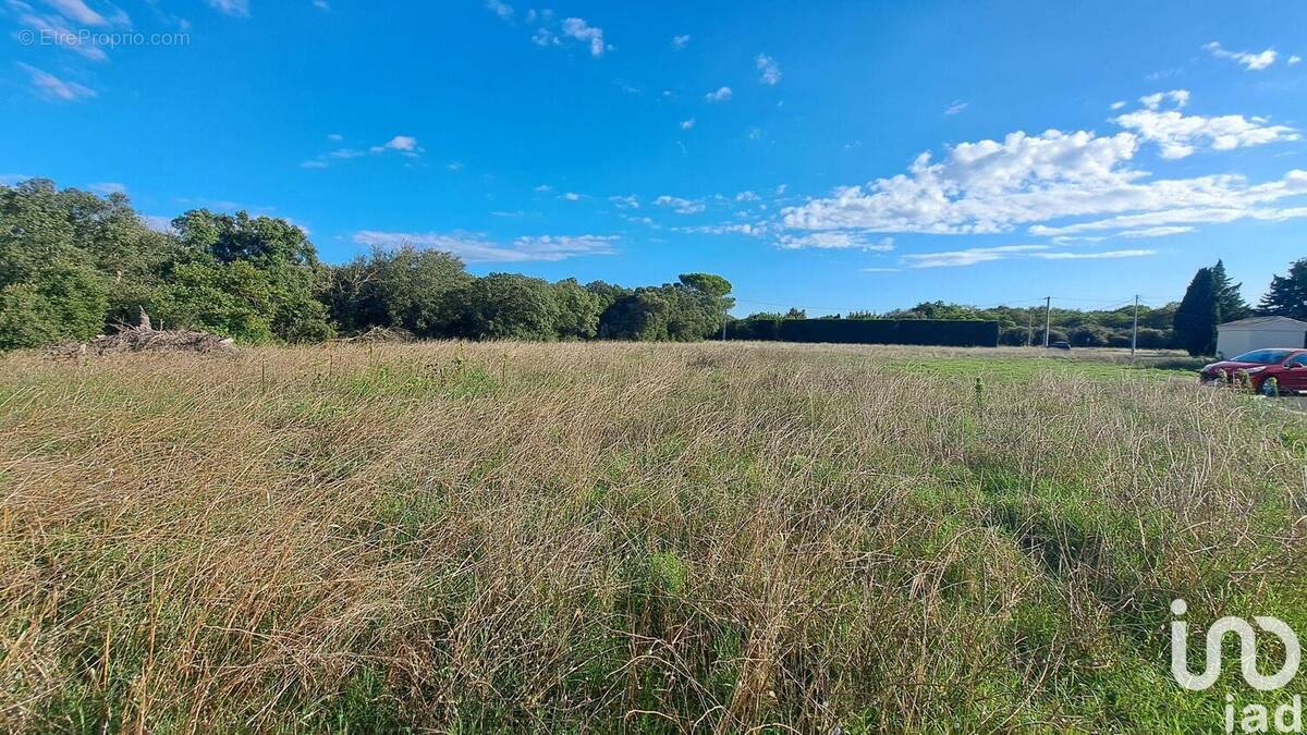 Photo 1 - Terrain à LA BAUME-DE-TRANSIT