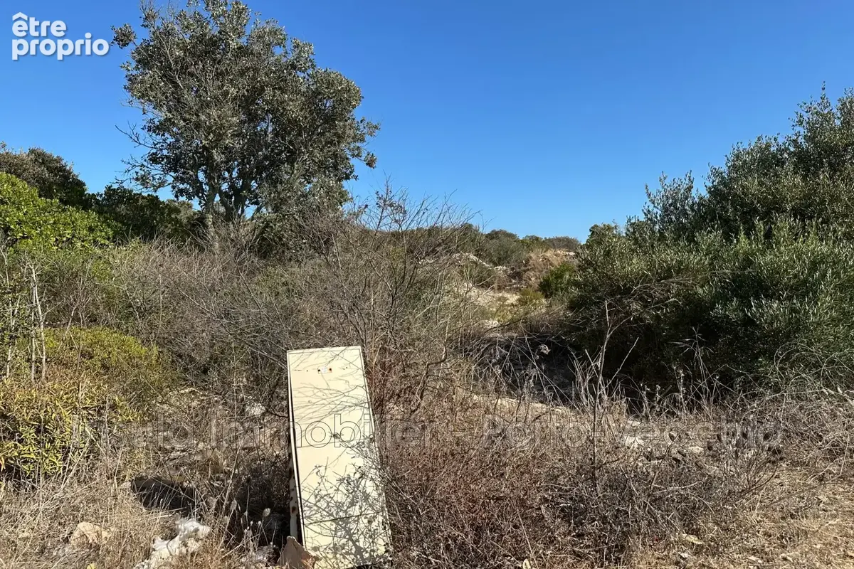 Terrain 1 427 m² à vendre à Bonifacio (20169) - photo 6