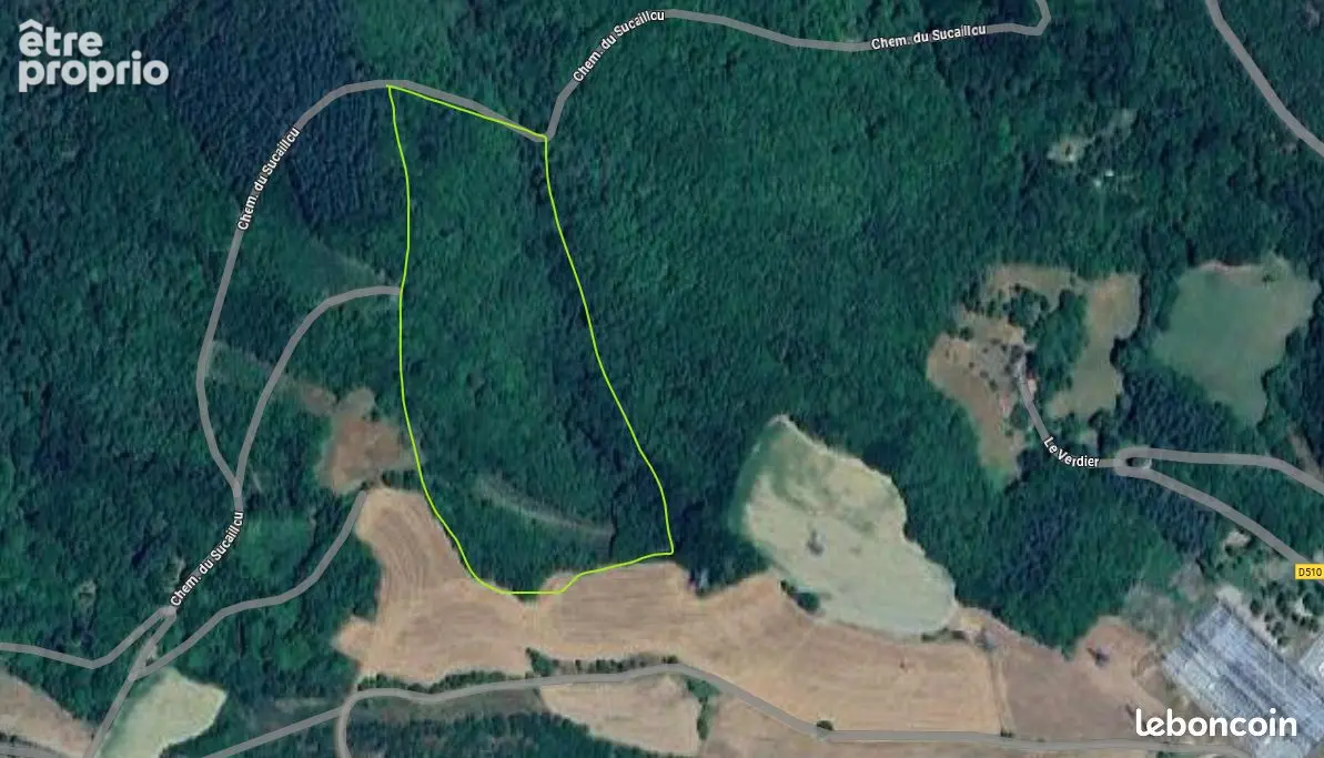 Domaine forestier de 4,3 hectares - Bois de châtaigniers et chênes à Saint-Victor-et-Melvieu - photo 2