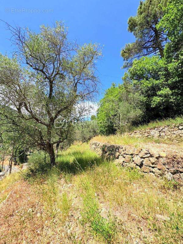  Terrain constructible – Pierrefeu (06910)  - photo 11