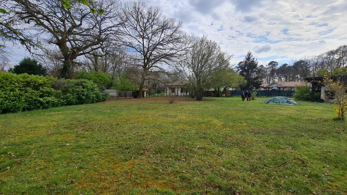 Terrain à PONTENX-LES-FORGES