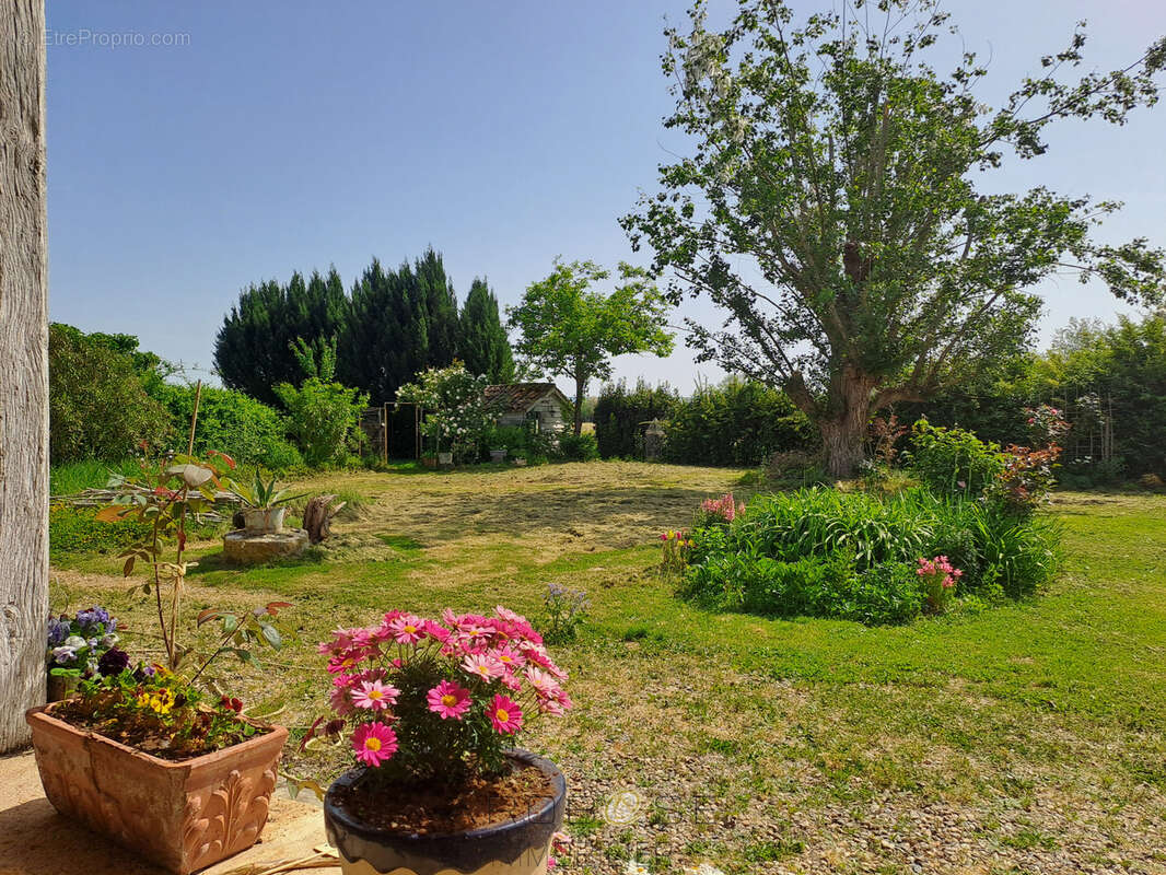 Maison à PUCH-D'AGENAIS