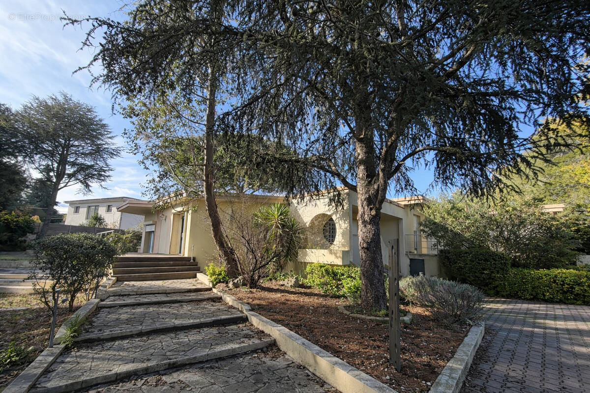 Maison à CASTELNAU-LE-LEZ