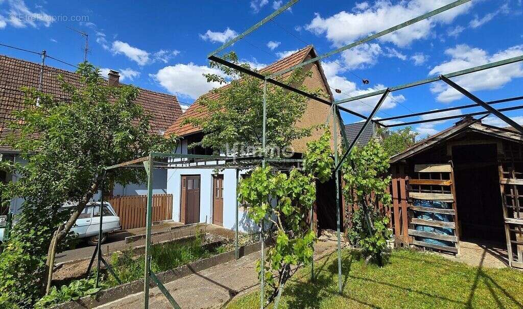 Maison à MERTZWILLER