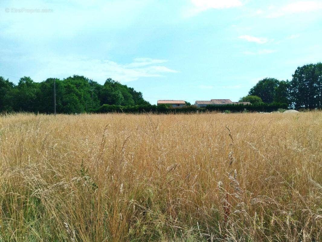 Terrain à MERIGNAC