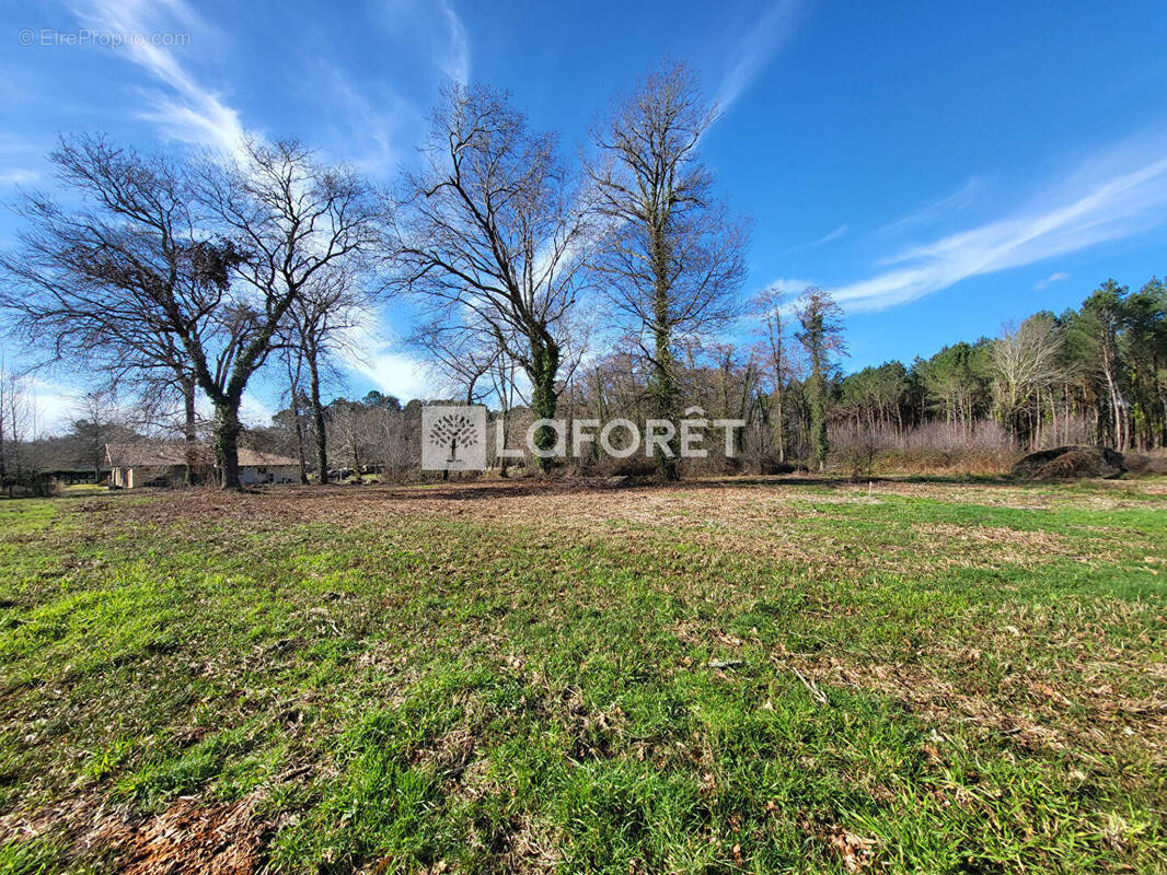 Terrain à SAINT-PAUL-EN-BORN