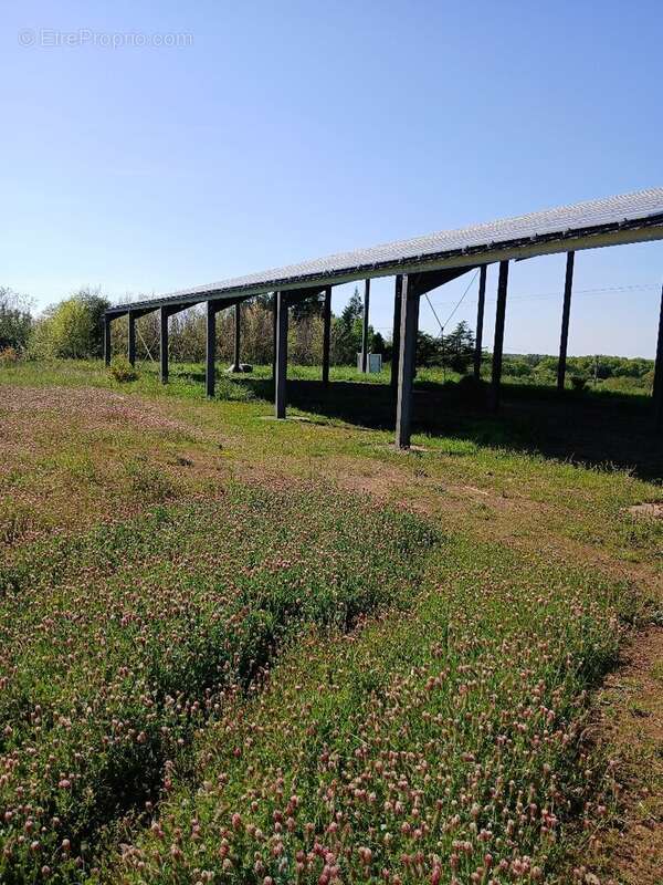 Terrain à SAINT-MARTIN-DE-RIBERAC