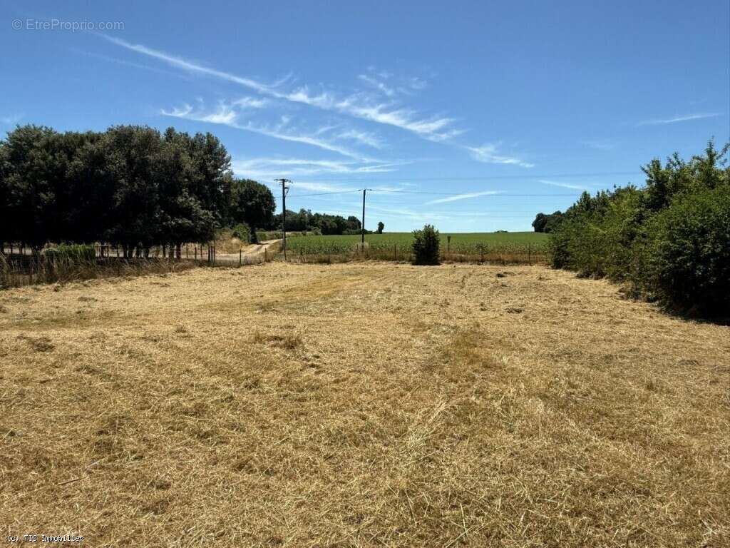 Maison à VILLEFAGNAN