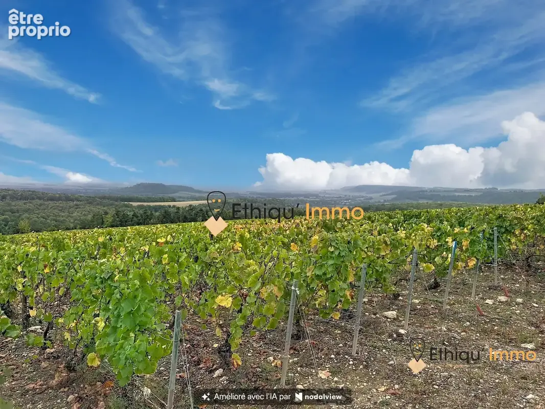 Terrain 285 868 m² à vendre à Chatillon-Sur-Seine (21400) - photo 1