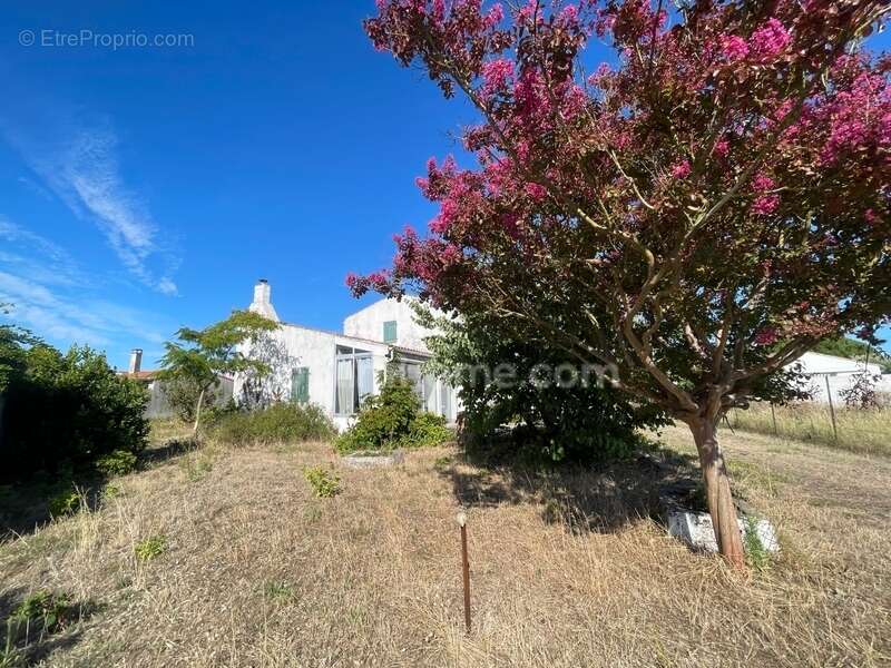 Maison à LE BOIS-PLAGE-EN-RE
