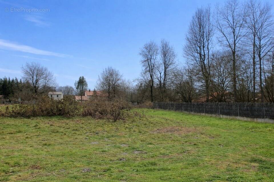 Terrain à ANDERNOS-LES-BAINS