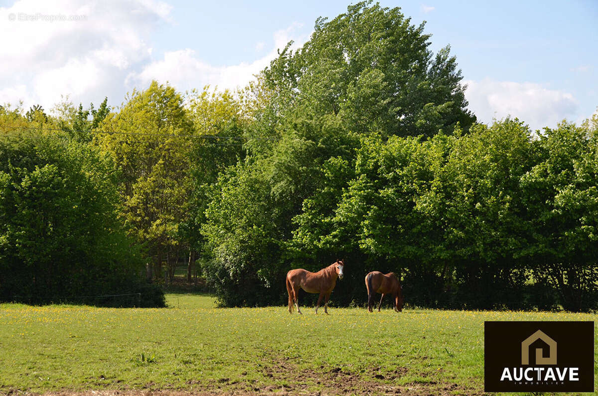 Manoir de caractère à Alençon ? 3,5 ha, fenêtres à meneaux, maison d'amis, 6 chambres - photo 4