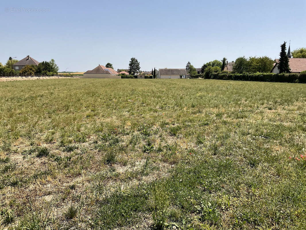 Terrain 9517 m² à Torvilliers  - photo 9