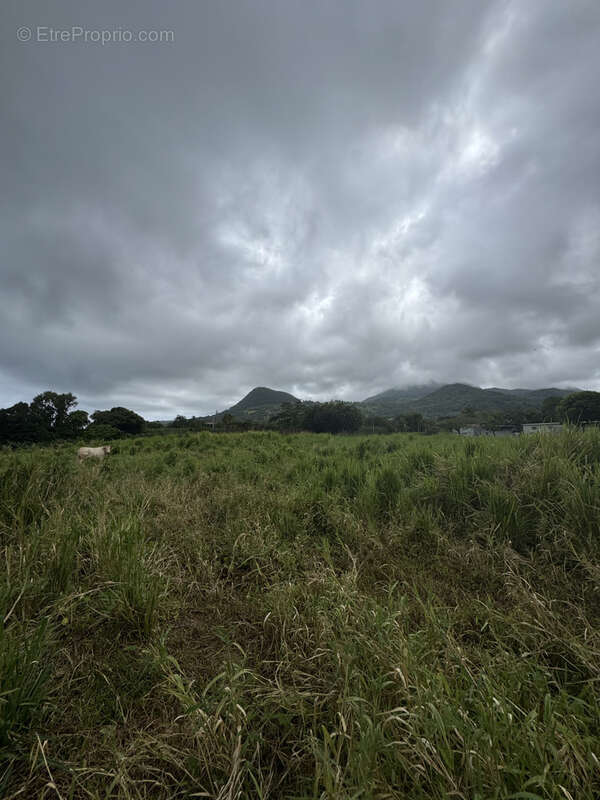 Terrain à CAPESTERRE-BELLE-EAU
