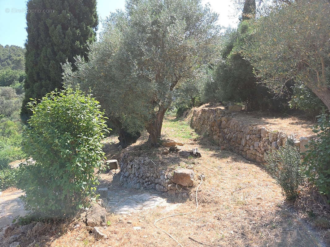 Maison à SOLLIES-VILLE