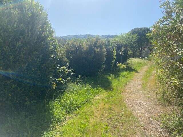 Terrain à CORNAS