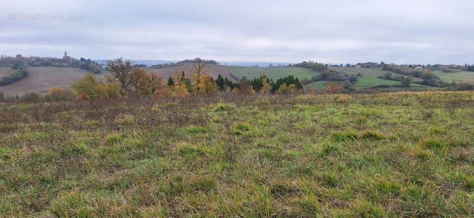 Terrain à LE CASTERA