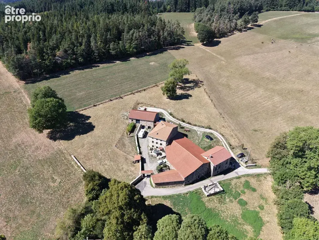 Maison Saint Didier En Velay 43140 propriété d'exception composée de deux habitations, nombreuses dépendances sur 9000m² de terr - photo 1