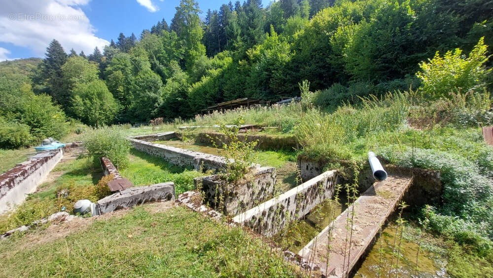 Pisciculture - murs et fond de commerce - 1.081 hectare - photo 9
