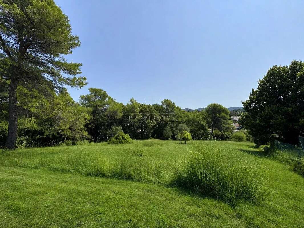 Mougins - opportunité foncière exceptionnelle de 7 509 m² - photo 2