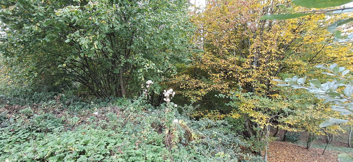 Terrain à BAZEILLES