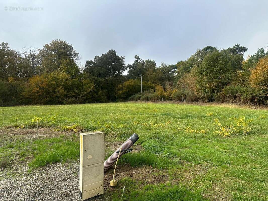 Photo 2 - Terrain à CLEYRAC