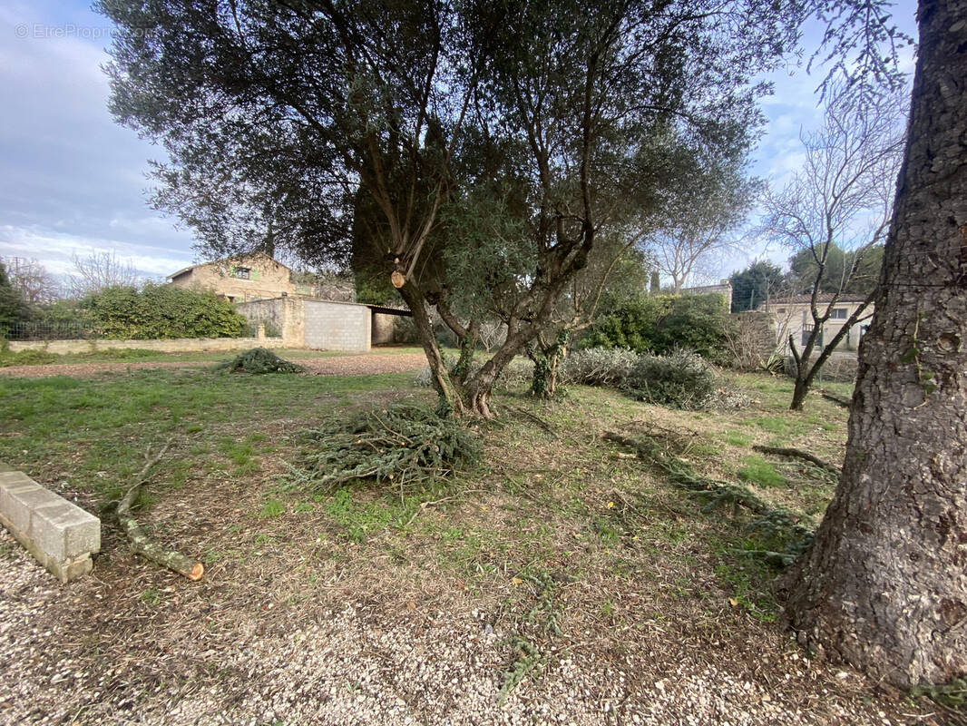 Terrain à SATURARGUES