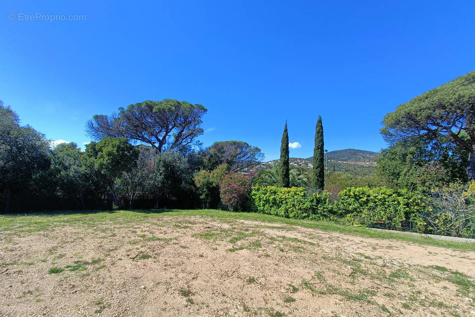 Terrain à LES ISSAMBRES