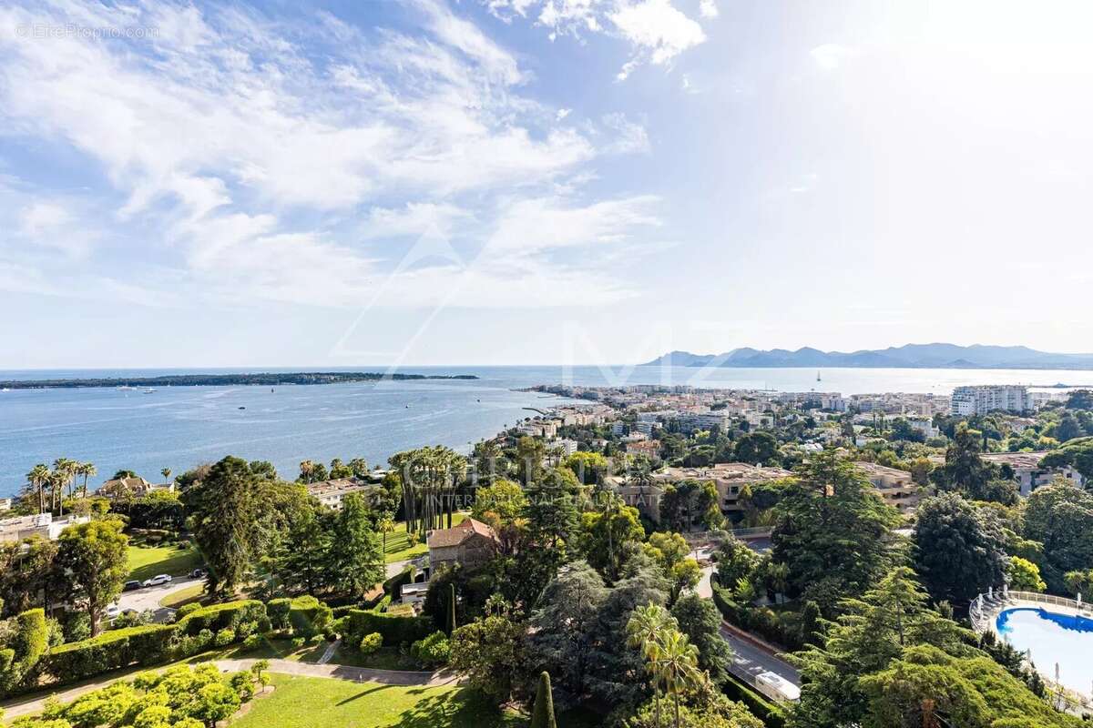 Exceptionnel Penthouse Vue Mer - photo 3