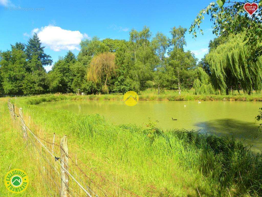 Terrain à SAVIGNY-EN-SANCERRE