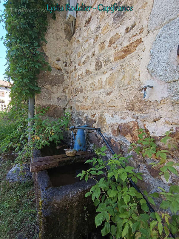 Fermette 10 pièces - grande grange - Rare à SAINT VICTOR MONTVIANEIX (63550) en Auvergne-Rhône Alpes - photo 25
