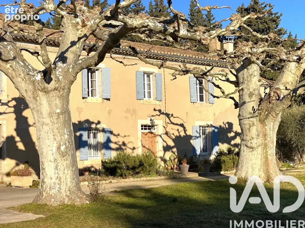 Photo 1 - Maison à L'ISLE-SUR-LA-SORGUE