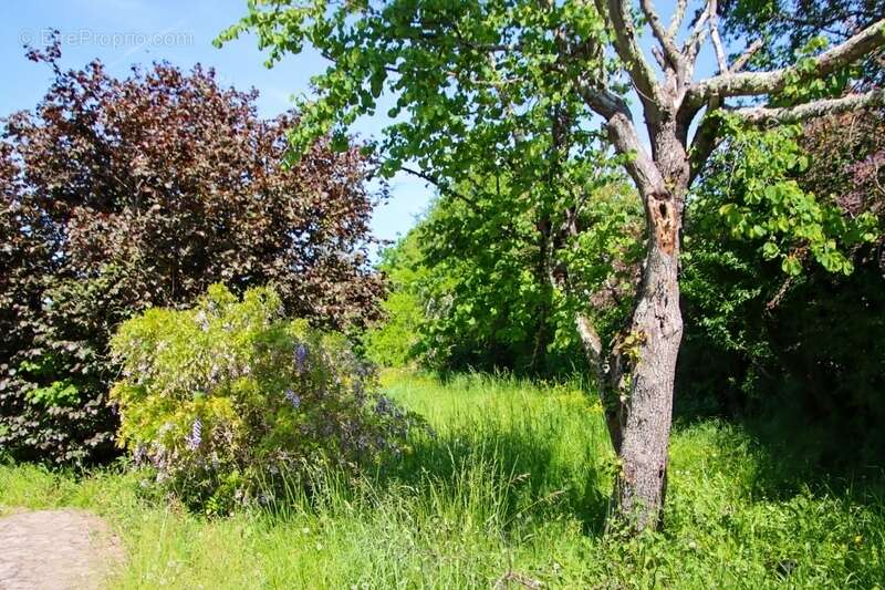 Maison à vendre 4 pièces SIORAC EN PERIGORD, sous-sol de 100m² exploitable  jardin 1933m² - photo 26