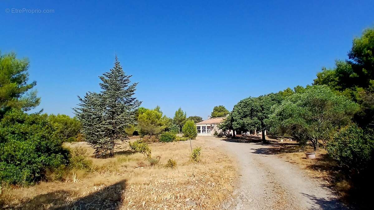 Villa unique de 220 m² habitables sur un terrain de 11651 m² - photo 5