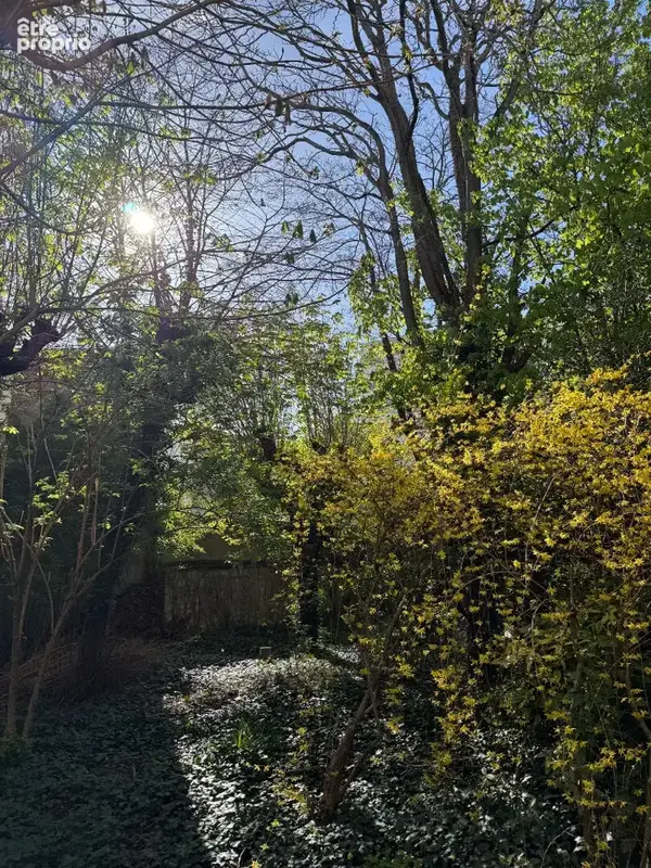 Opportunité rare à Montreuil - secteur Croix-de-Chavaux - Parcelle 1 000 m² avec ensemble de 278 m² - photo 5