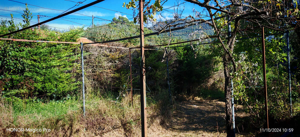 Terrain à L'ESCARENE