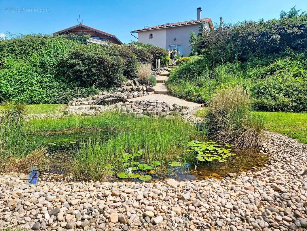 Etang Nord maison et carport - Maison à MIZERIEUX