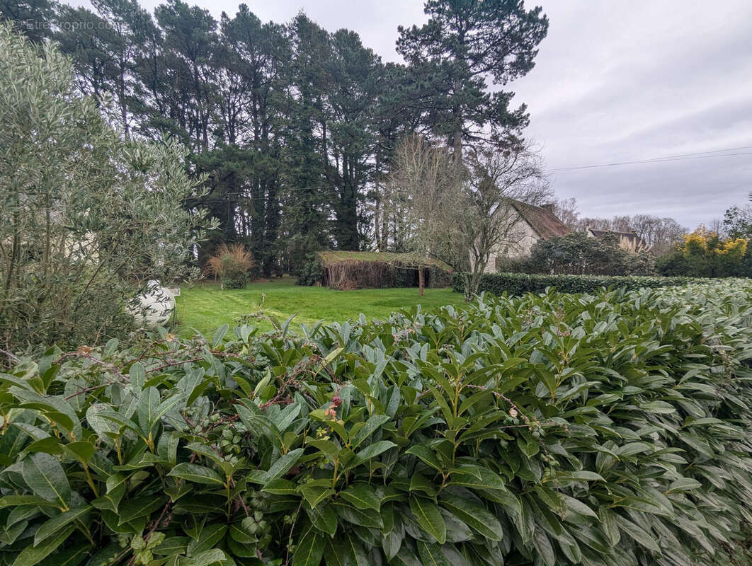 Terrain à SAINT-LYPHARD