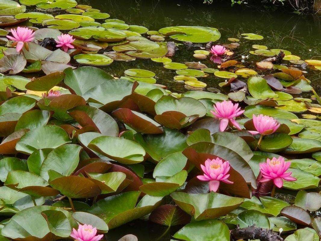 Maison à VIMOUTIERS