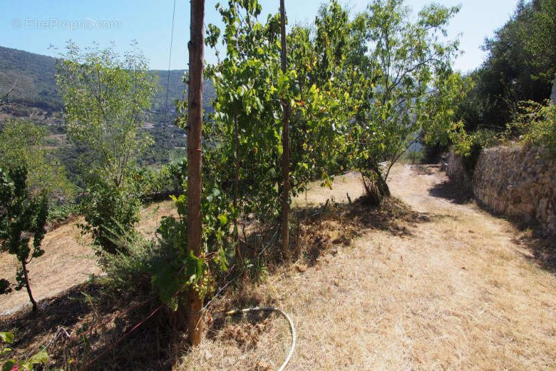 Maison à LA TRINITE