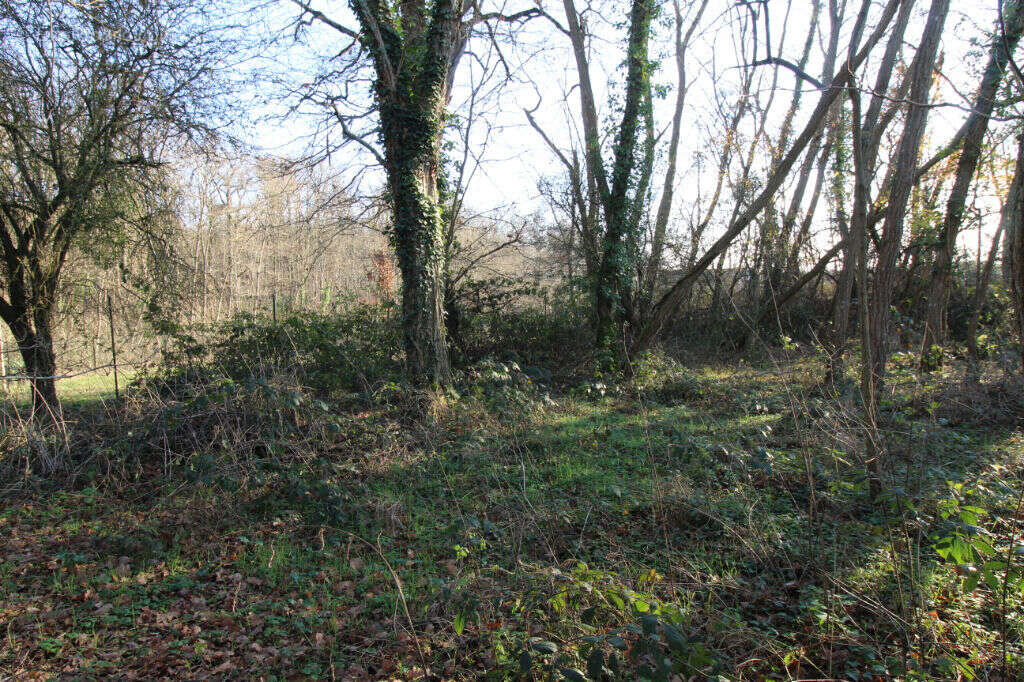 Terrain à LES MONTILS