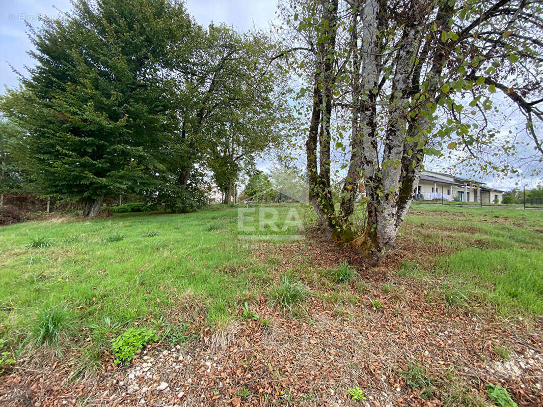 Terrain à PERIGUEUX