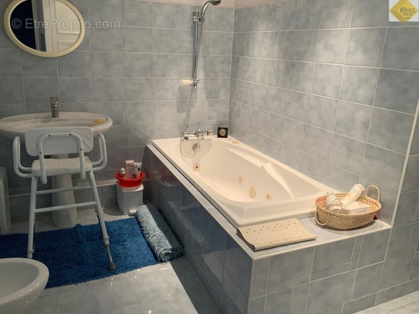 Maison à LA ROCHE-POSAY