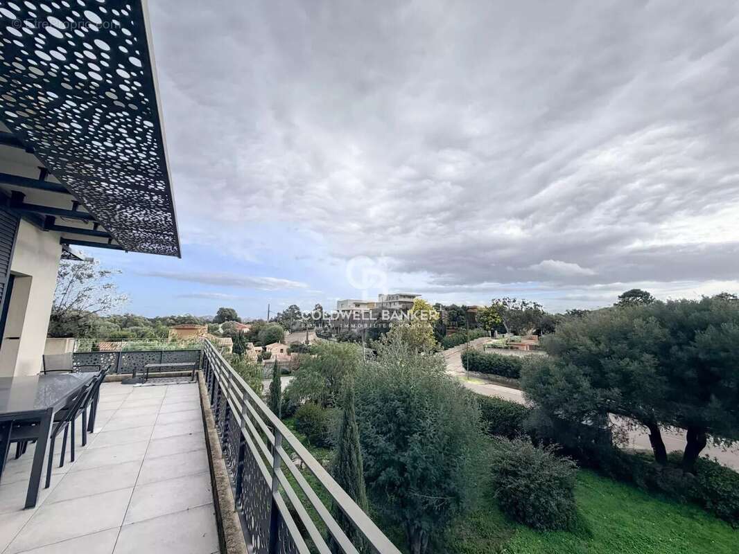 Appartement à ZONZA