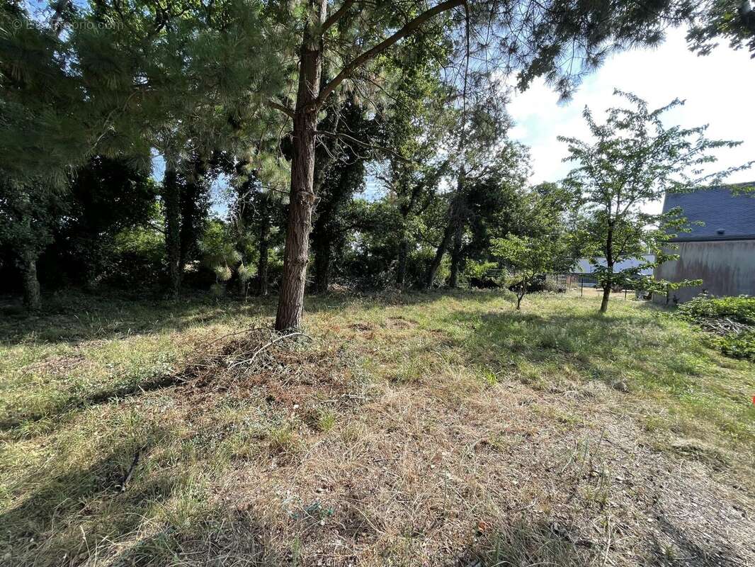 Terrain 569 m² à Sarzeau  - photo 5