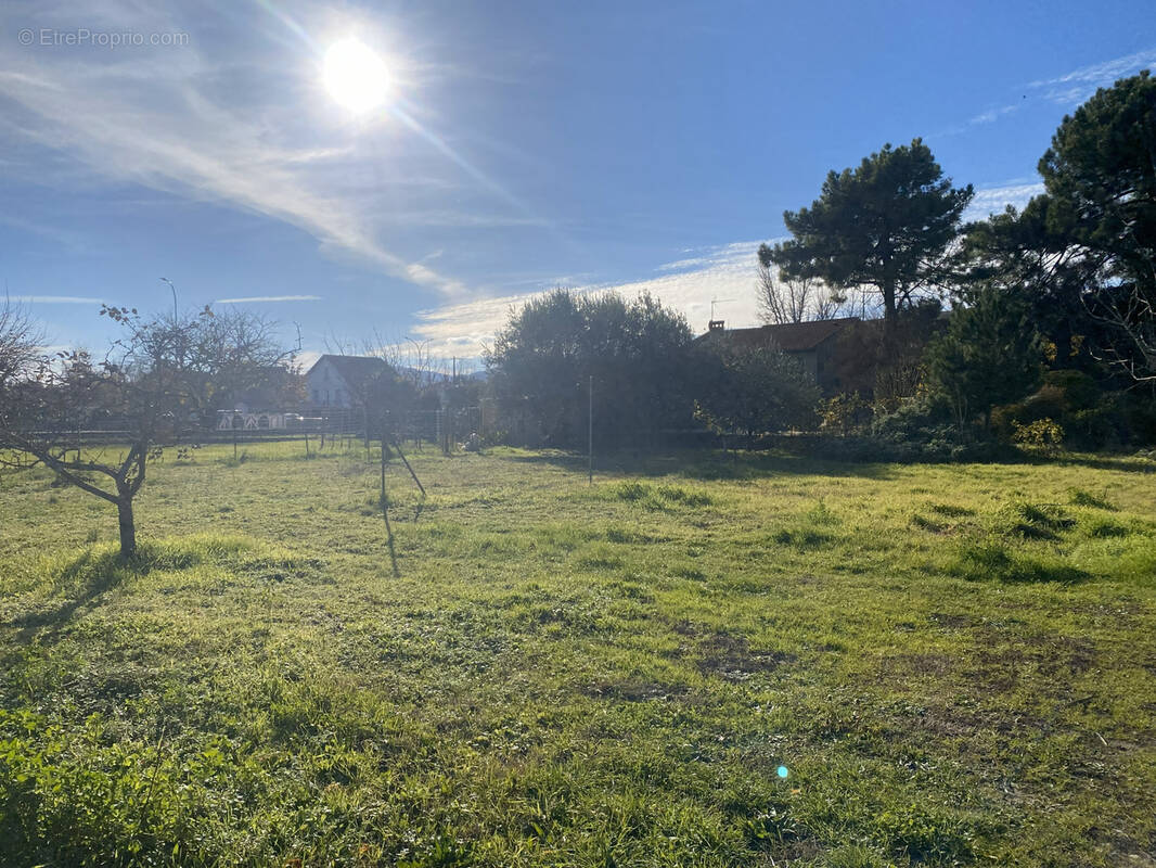 Terrain à TOURNON-SUR-RHONE