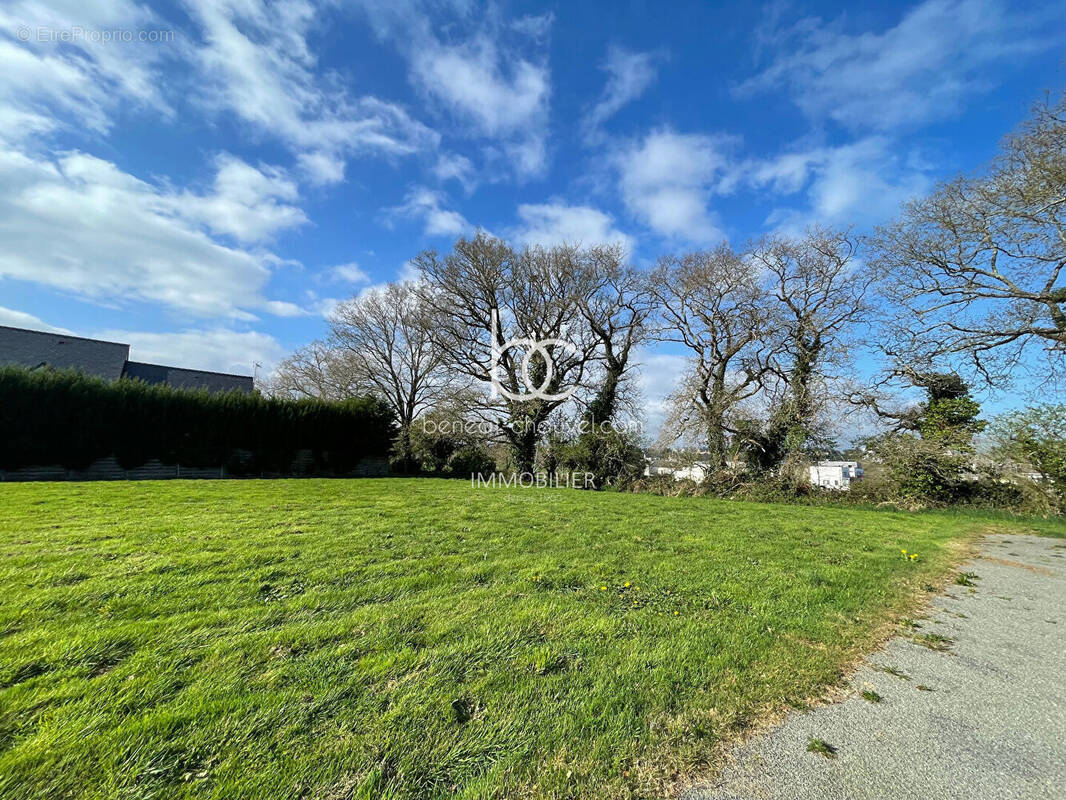 Terrain à SAINT-AVE