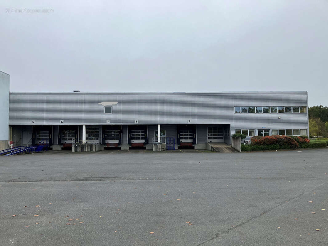 Commerce à MONTBAZON