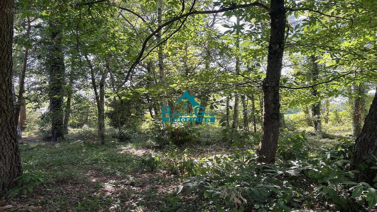 Maison La Bouexiere - photo 13