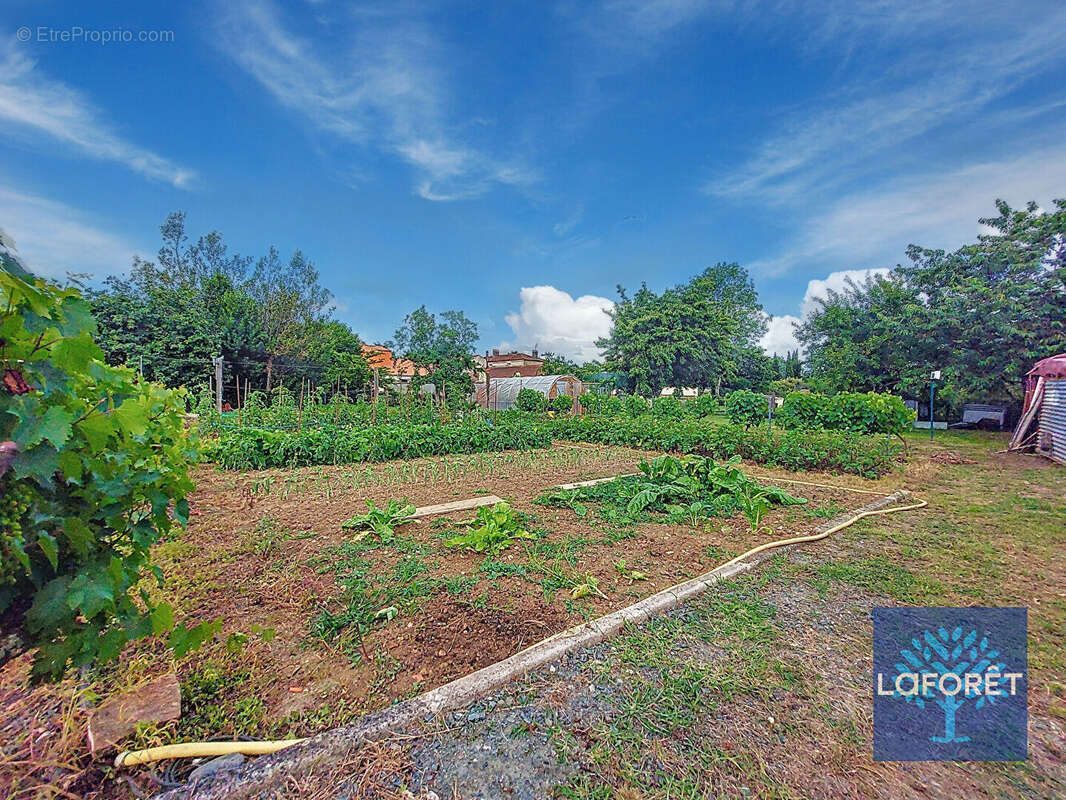 Maison à CHANTONNAY